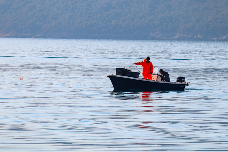 Ilustracija (Foto: Novski portal)