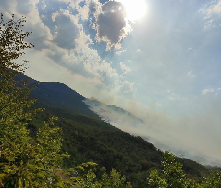 Požar u Nikšiću (Foto: RTNK)