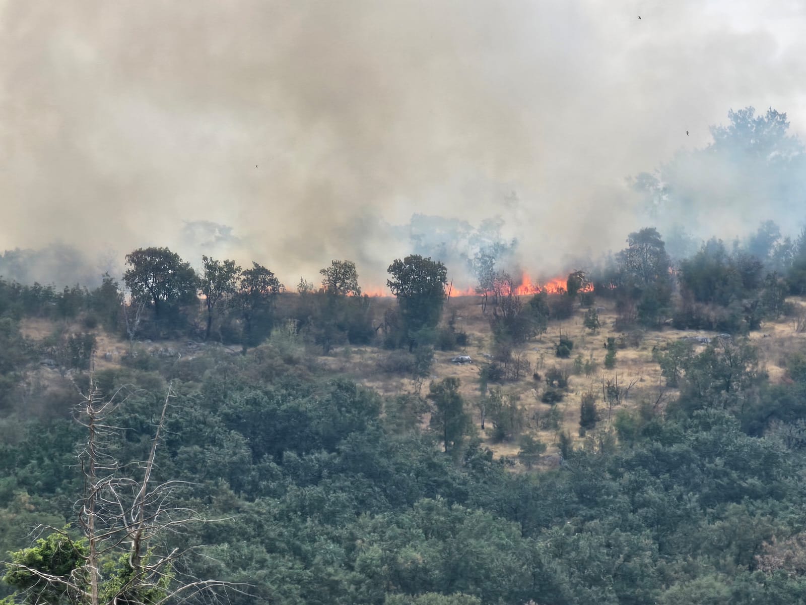 Požar u Piperima Piperi