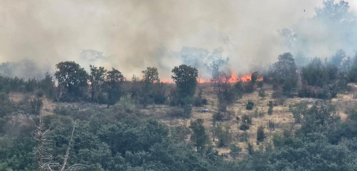 Požar u Piperima (Foto: Portal ETV)