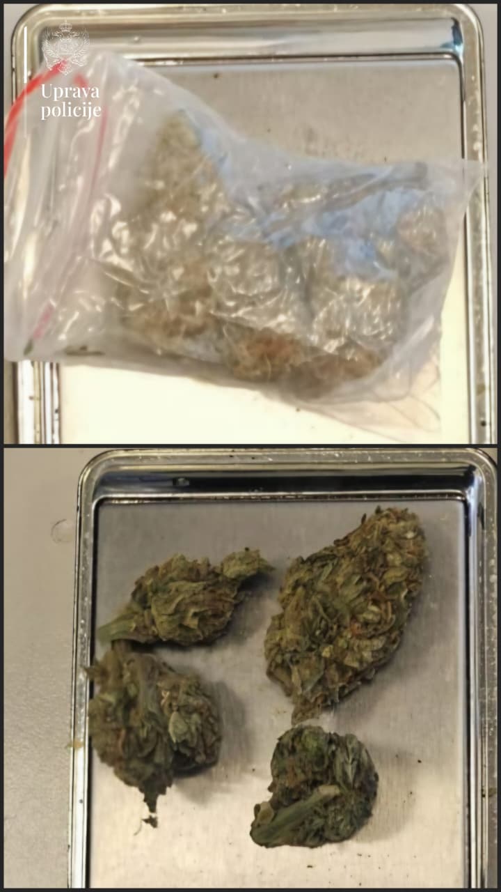 Pronađena marihuana (Foto: Uprava policije/X)