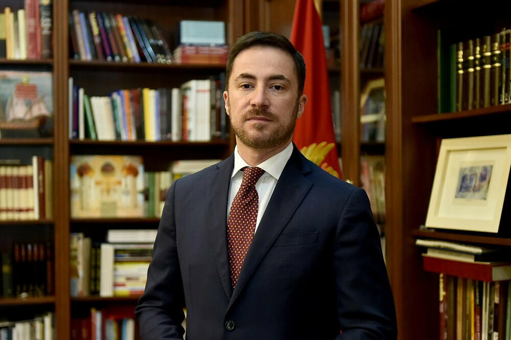 Aleksandar Bogdanović (Foto: DPS)