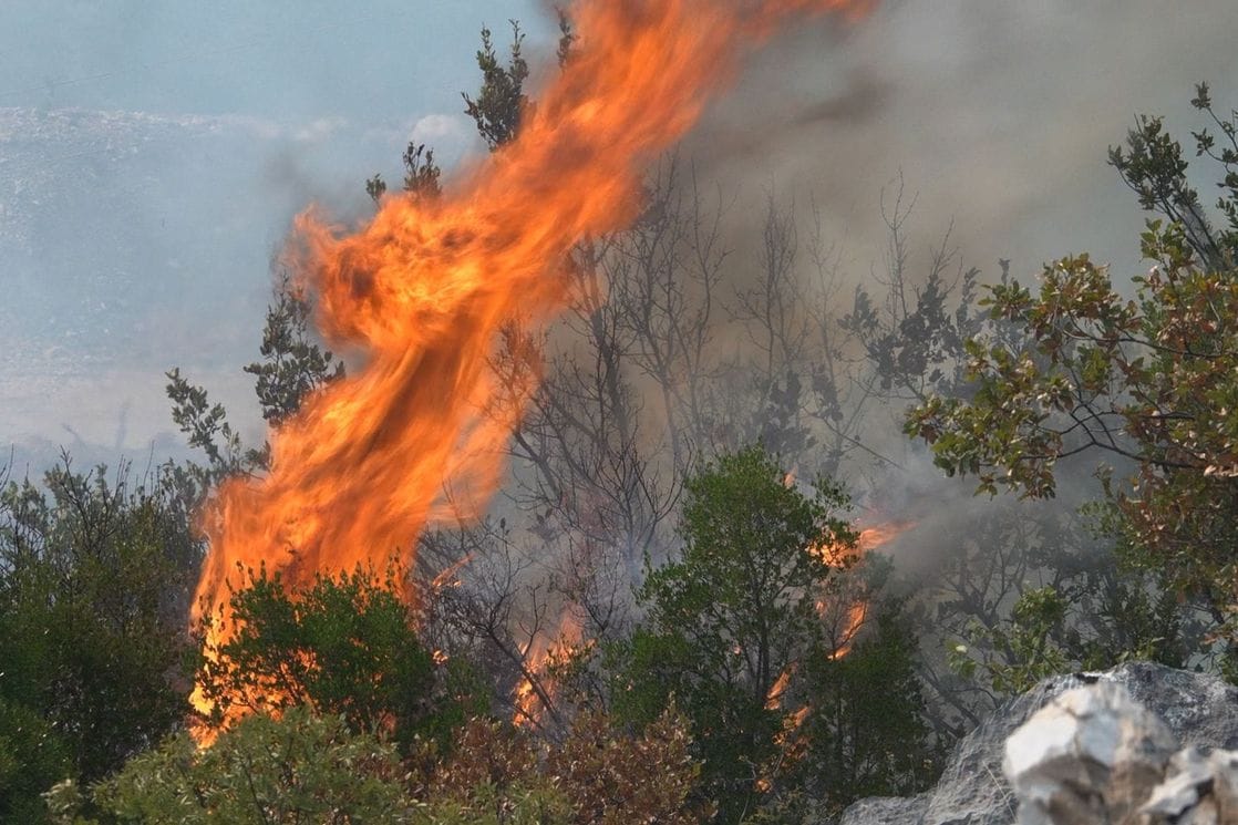 Ilustracija (Foto: Mediabiro )