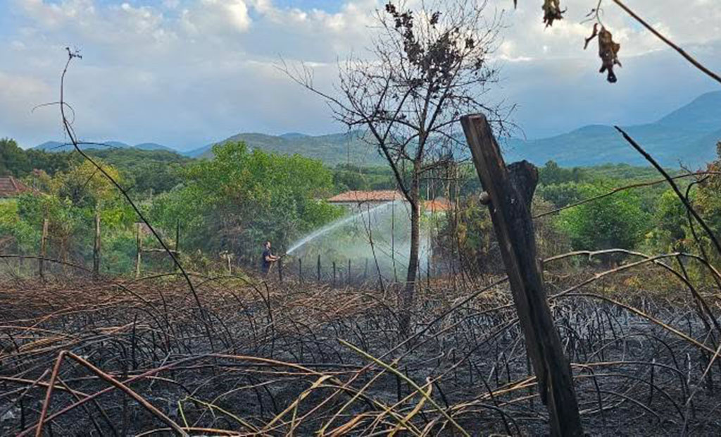 Slika nakon požara u Ostrosu (Foto: Bar Info)