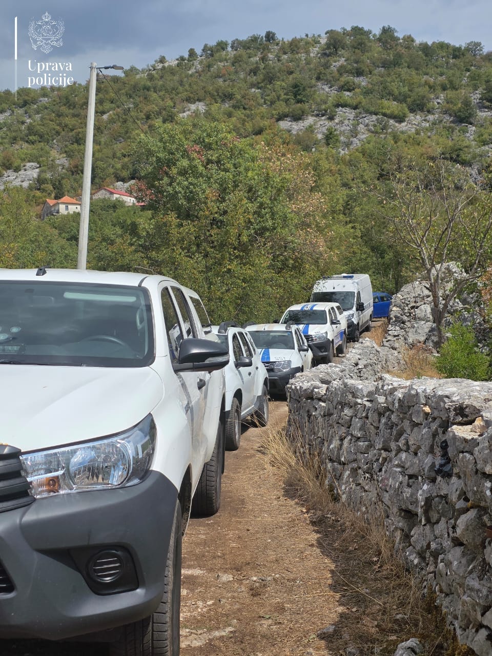Otkrivena najveća plantaža marihuane u Crnoj Gori