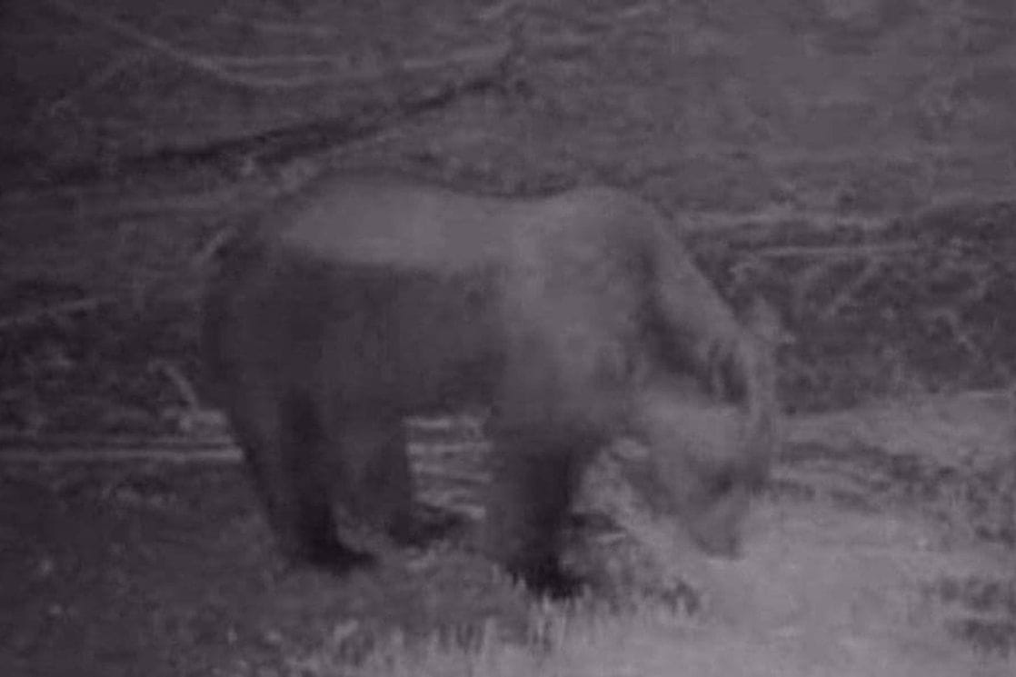 (Foto: Lovačko društvo Zeta)