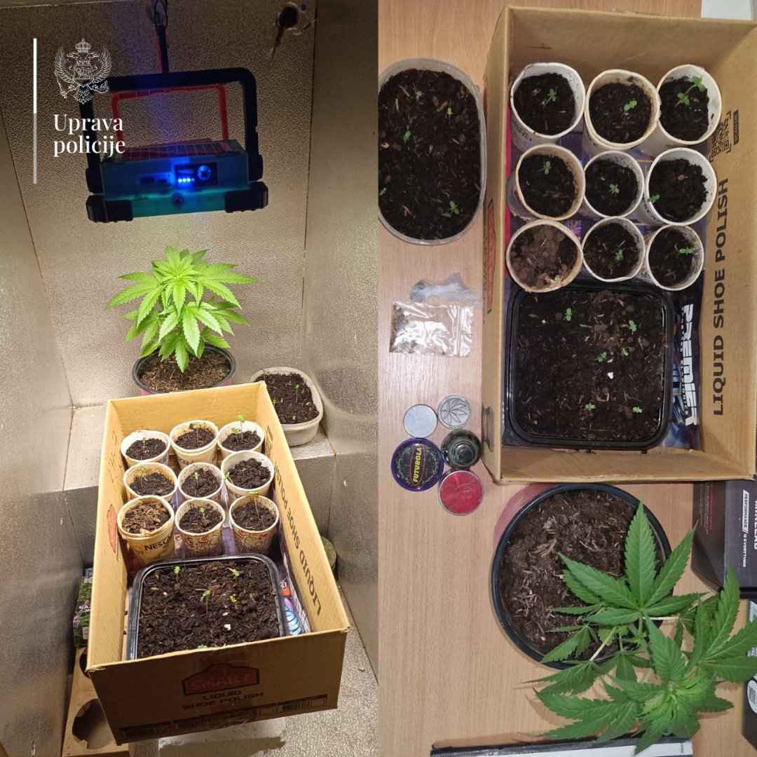 (Foto: Uprava policije)