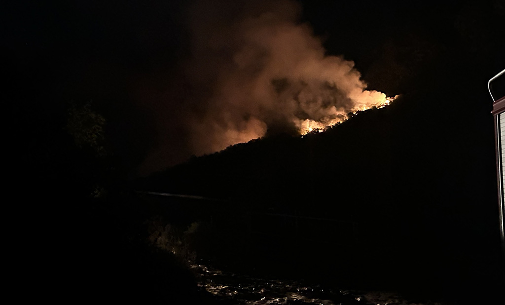 Požar na Lisinju (Foto: Bar Info)