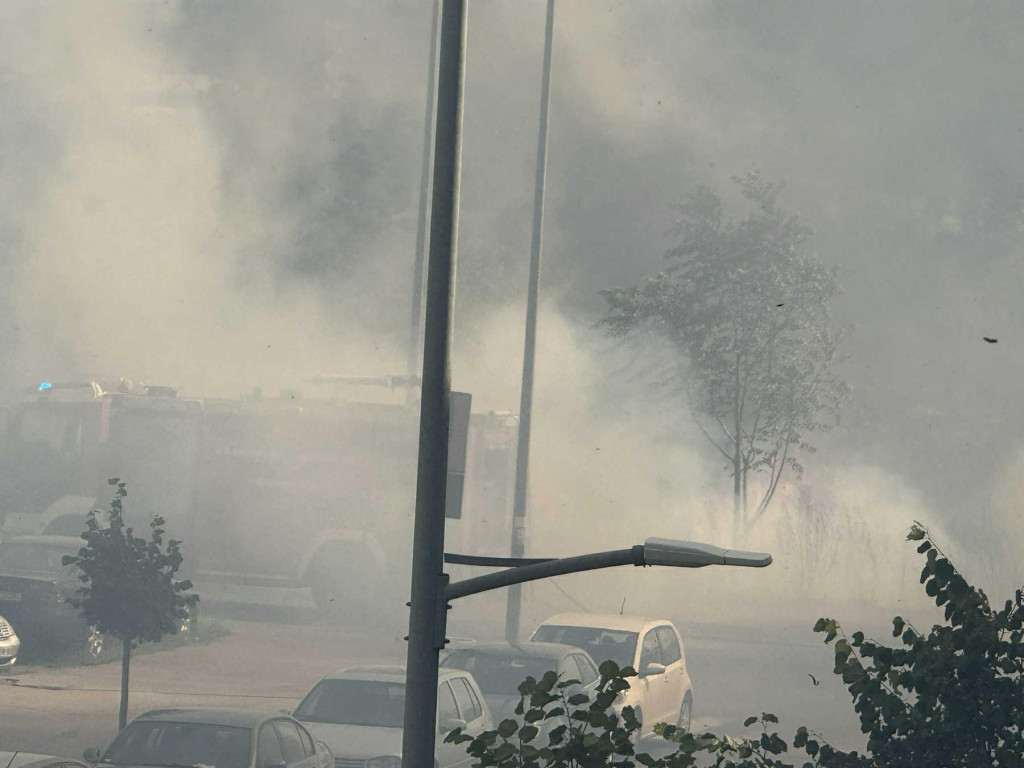 Požar kod Krivog mosta (Foto: Dan - stop kadar)