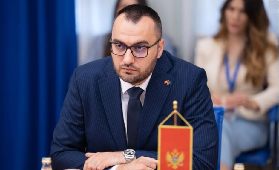 (Foto: Demokratska Crna Gora )