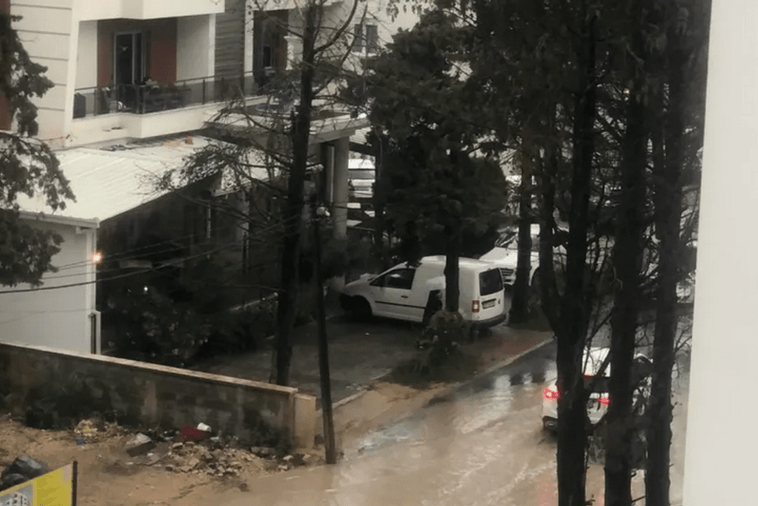 (Foto: Primorski portal)