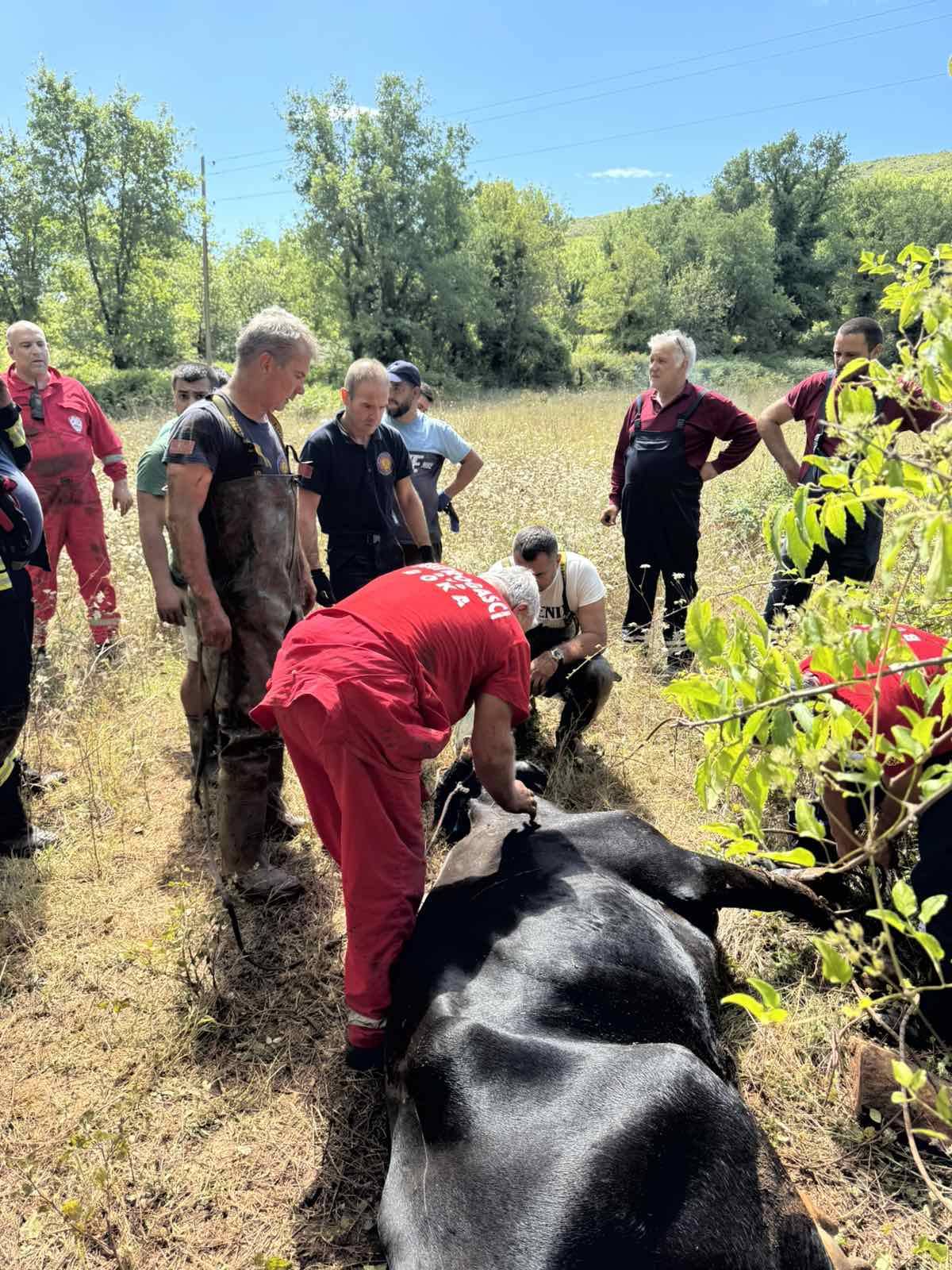 (Foto: Vatrogasna jedinica Kotor)