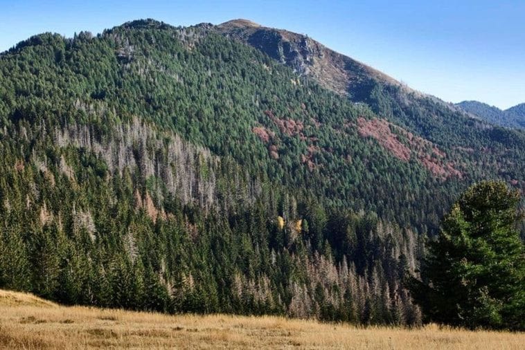 (Foto: Pobjeda/Stevo Vasiljević)