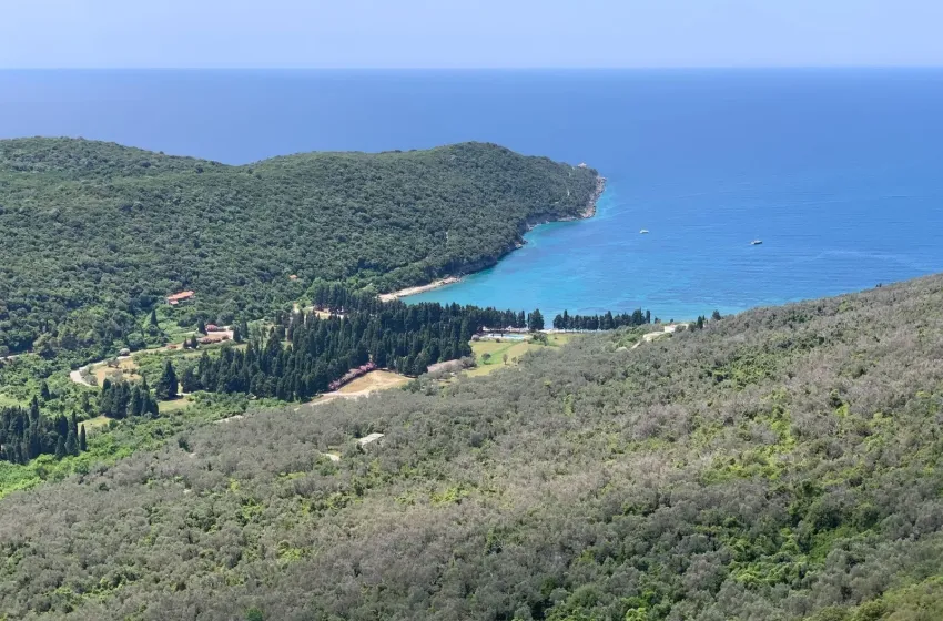 (Foto: Uspostavljena prethodna zaštita Ulcinjske maslinade i uvale Valdanos)