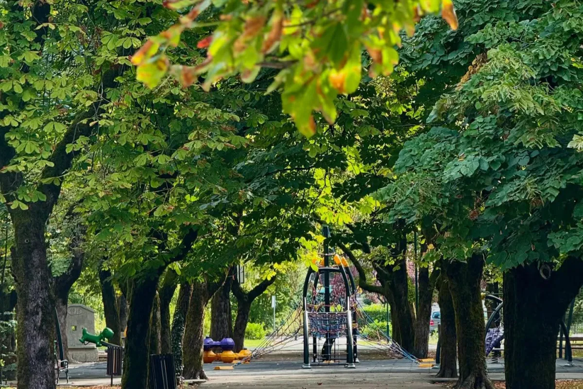 Park "13. jul" na Cetinju (ilustracija) (Foto: Prijestonica Cetinje)