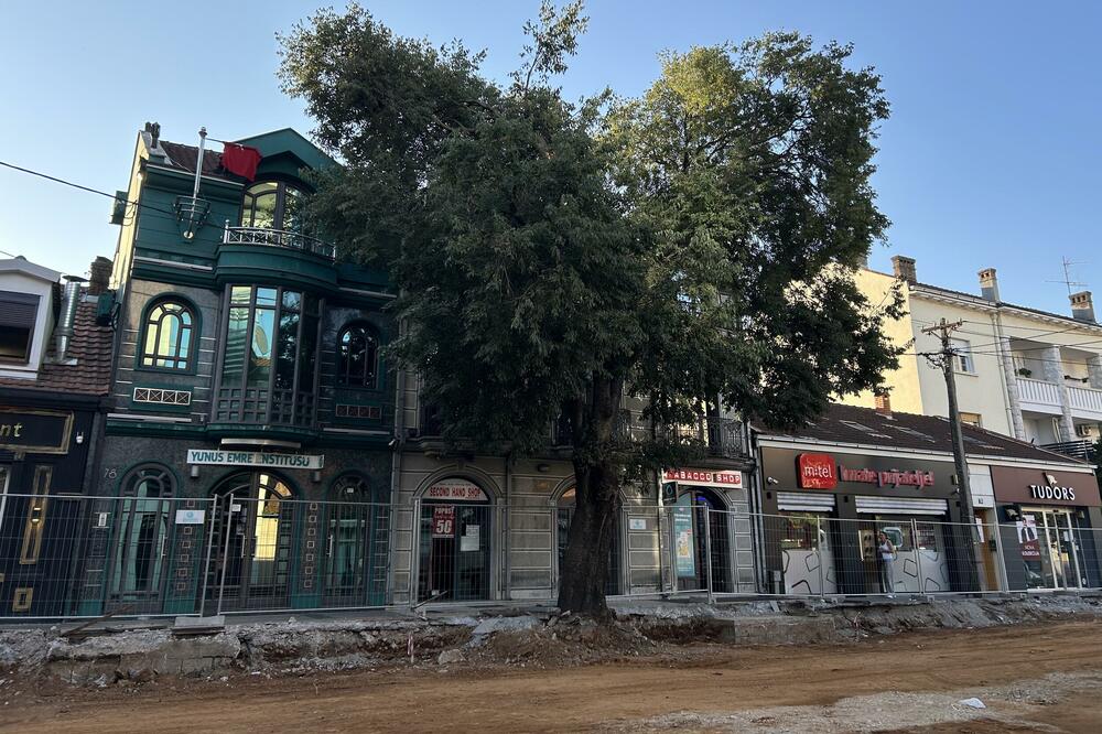 (Foto: Marija Radović/Vijesti )