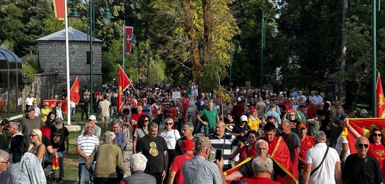 (Foto: Portal ETV/Duško Mihailović )