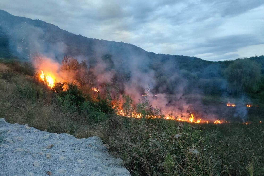 Foto: Portal Analitika