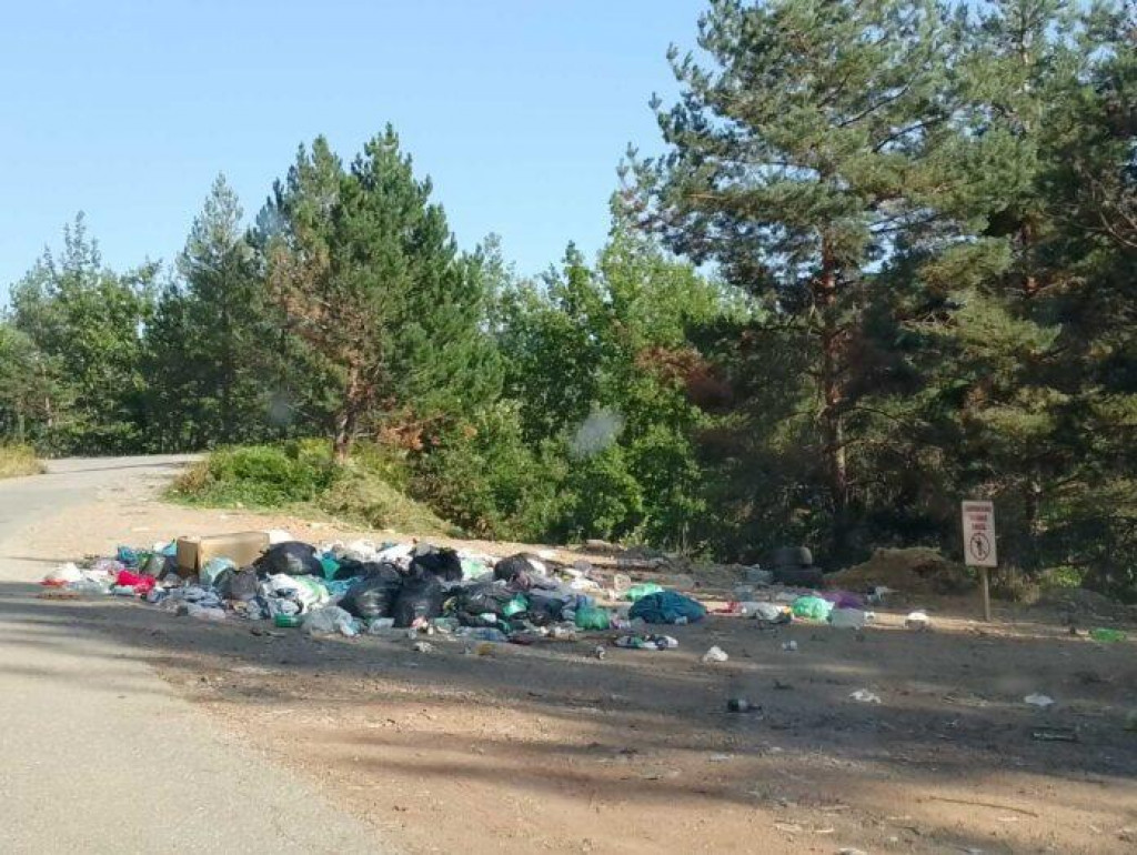 Foto: Privatna arhiva/Dan