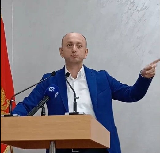 Milan Knežević (Foto: screenshot)