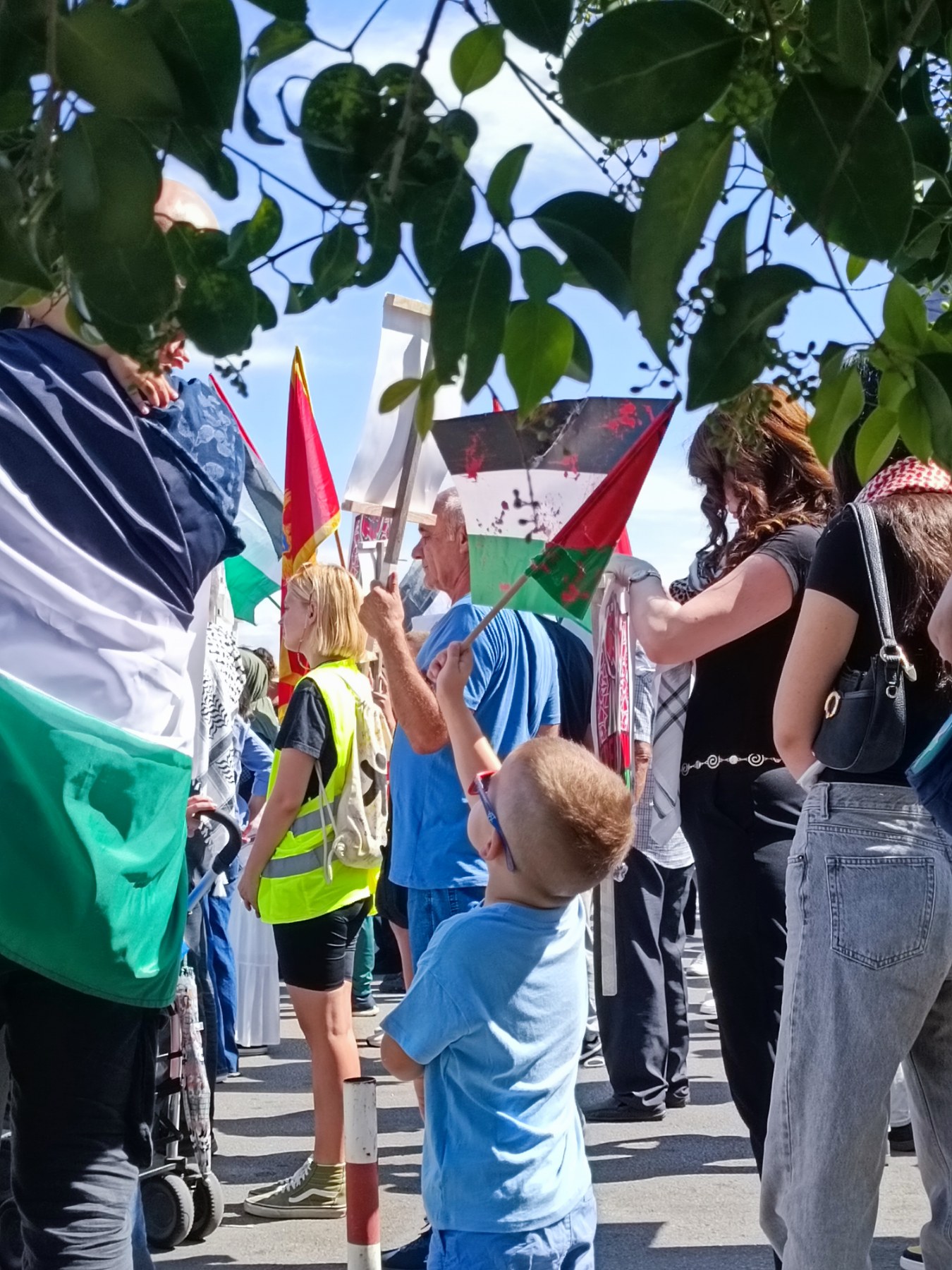 Mirni protest solidarnosti s narodom Palestine