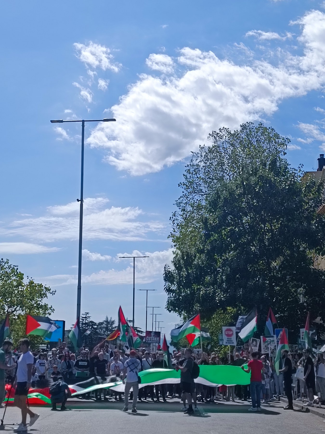 Mirni protest solidarnosti s narodom Palestine