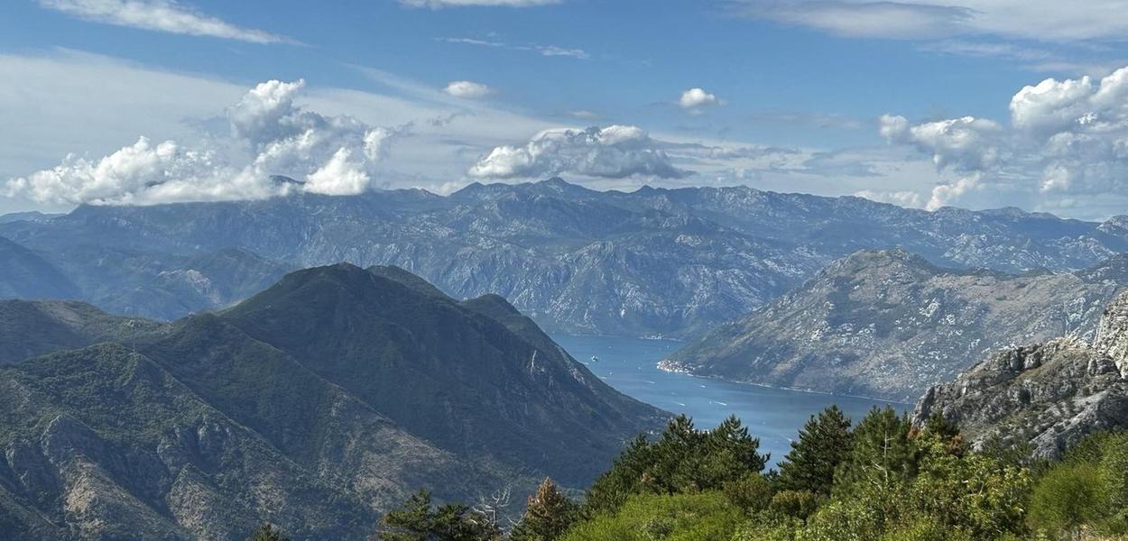  (Foto: Duško Mihailović)