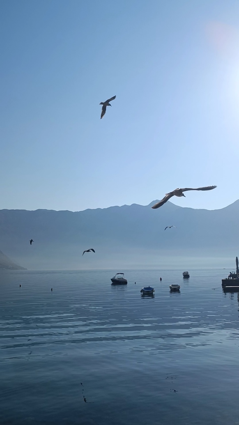  (Foto: Portal ETV/BM)