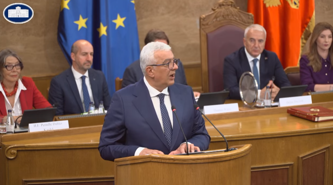 Mandić na sastanku POSP-a (Foto: Stop kadar)