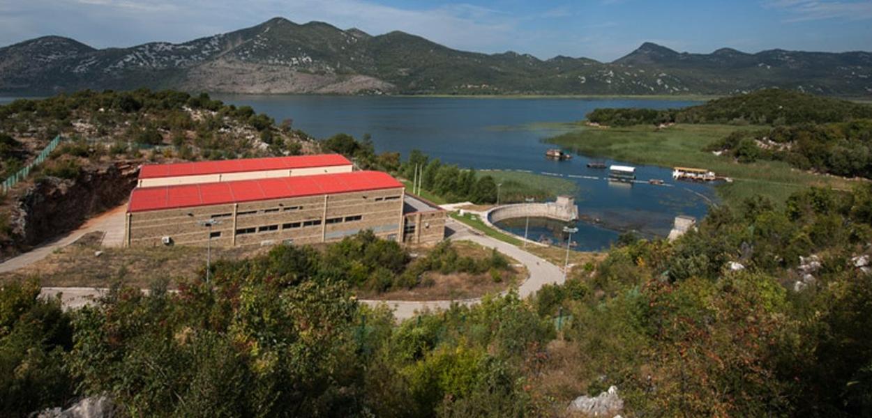 IZNENADNA KONTROLA: Vodoizvorište Bolje sestre (Foto: Regionalni vodovod)