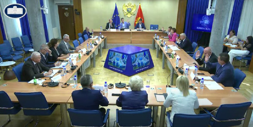 Foto: Skupština Crne Gore/Jutjub (Foto: Stop kadar)