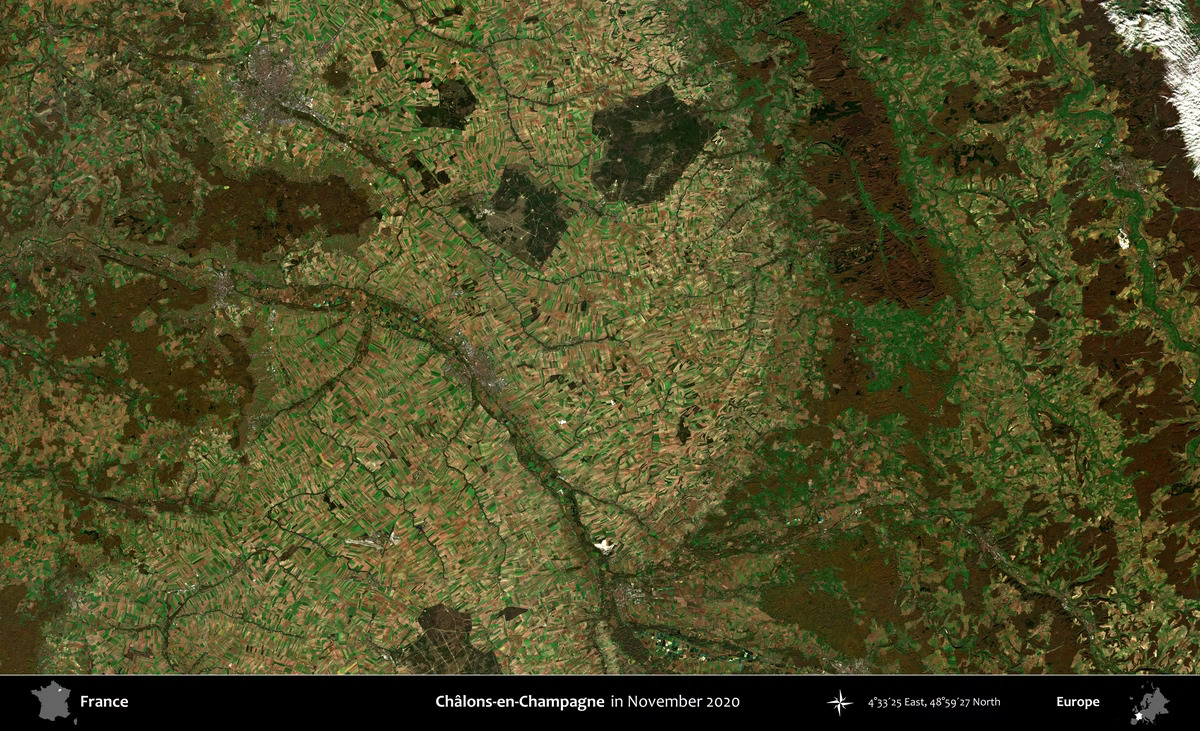 (Foto: Shutterstock/zelvan)