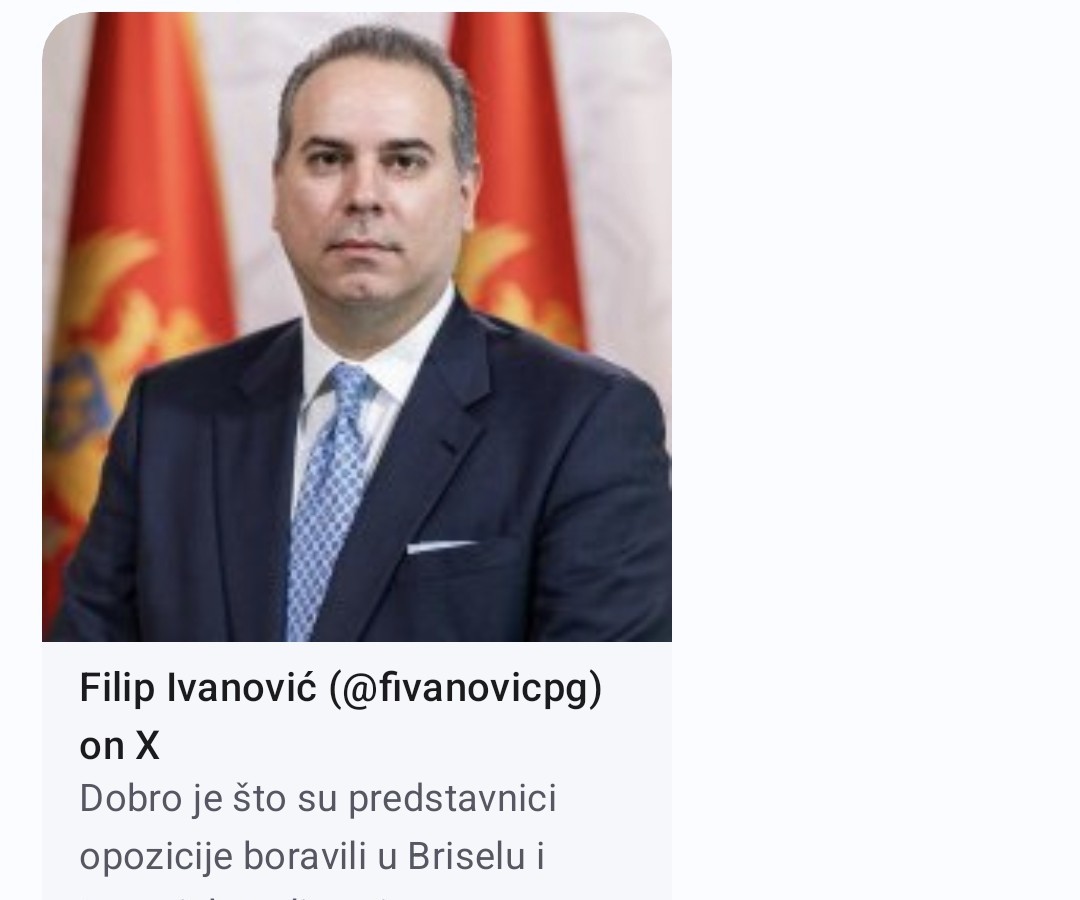 IMA LI PRISTUP TAJNIM PODACIMA: Potpredsjednik Vlade Filip Ivanović (Foto: Portal ETV )