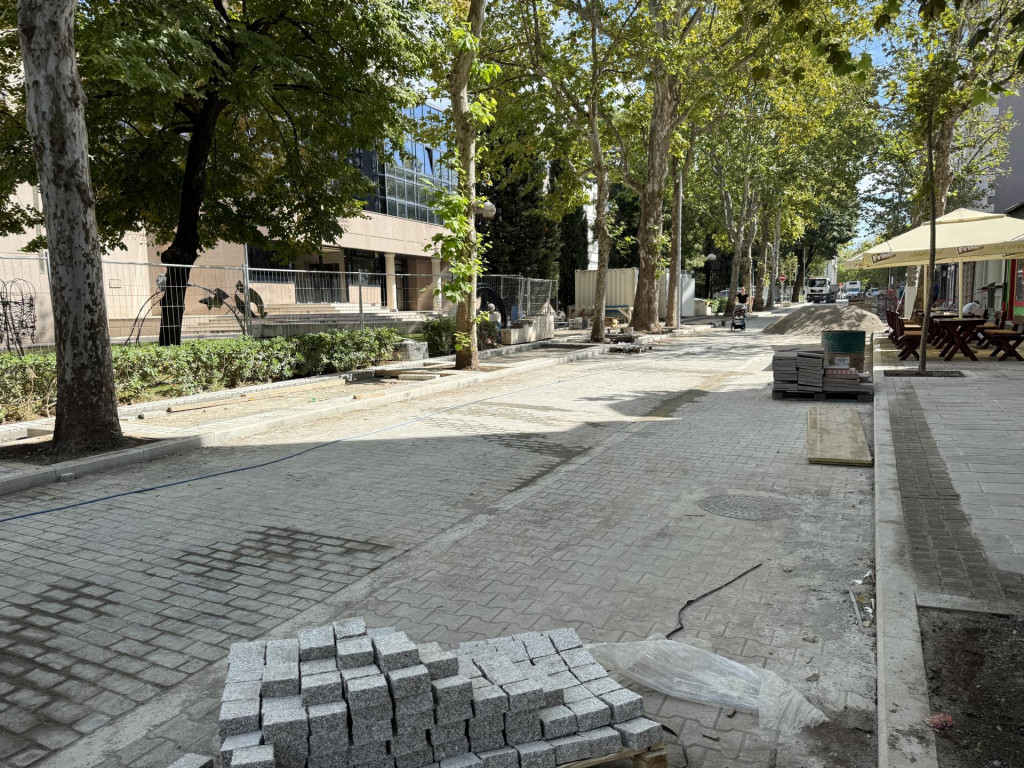 (Foto: Dan/M.Vujisić)