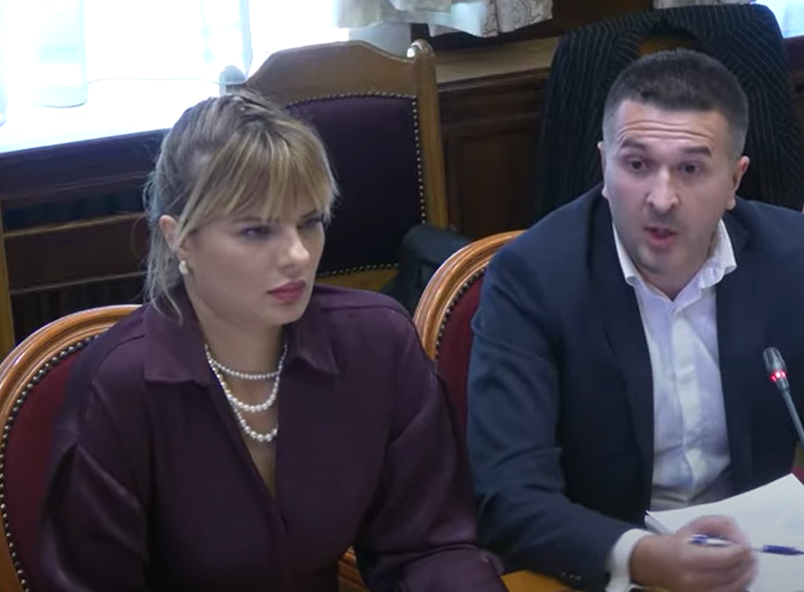 Nedović i Pejović (Foto: screenshot)