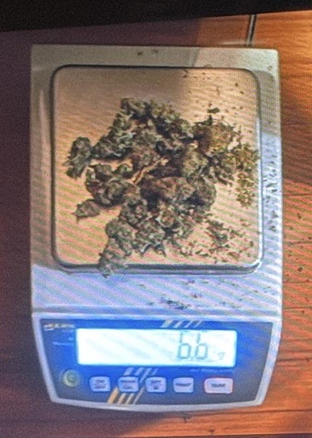 (Foto: Uprava policije)