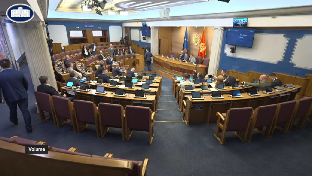 (Foto: Skupština Crne Gore/Youtube)