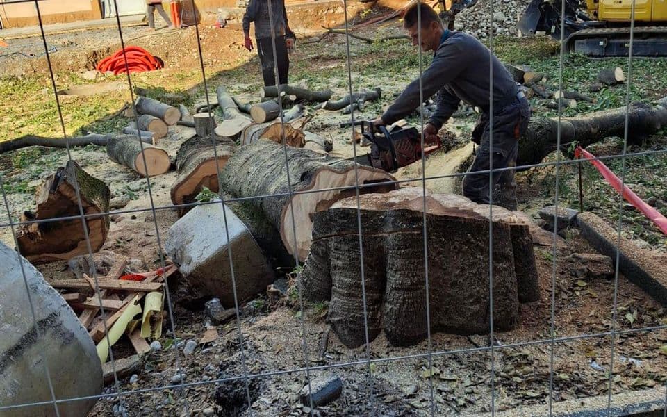 (Foto: Pobjeda/N.S.)