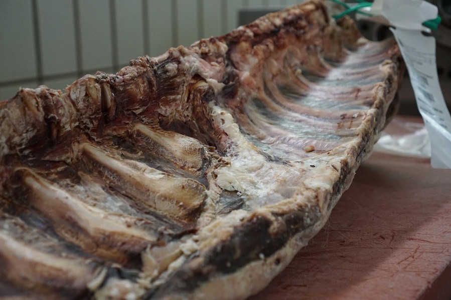 Ilustracija (Foto: Pixabay)