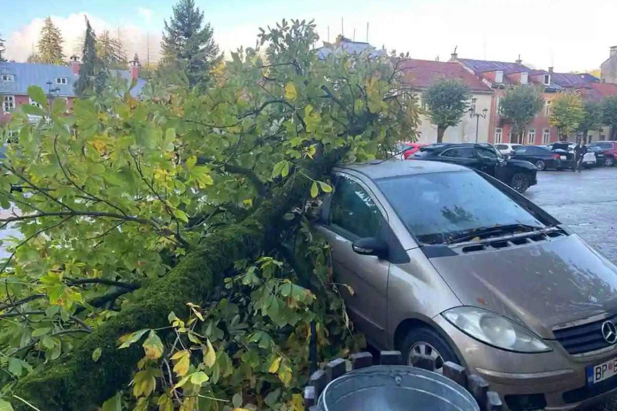 Posljedice nevremena (Foto: RTV Cetinje)