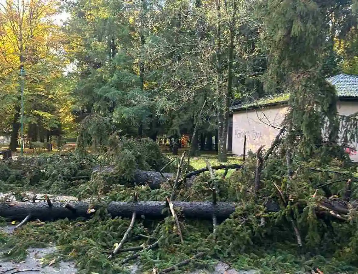 Posljedice nevremena