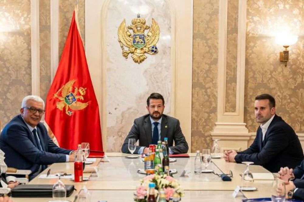 NE TRUDE SE DA STVORE NI PRIVID DEMOKRATIJE: Andrija Mandić, Jakov Milatović i Milojko Spajić (Foto: predsjednik.me)