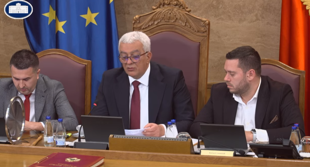Andrija Mandić (Foto: Skupština Crne Gore - stop kadar)