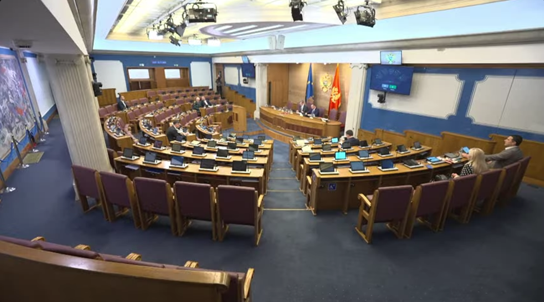  (Foto: Skupština Crne Gore/Youtube)