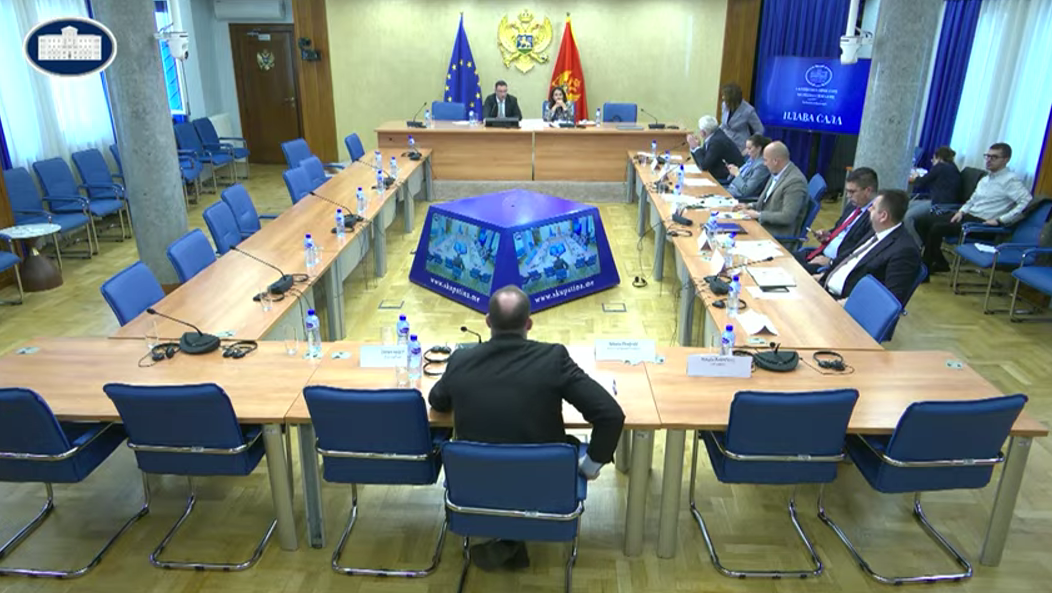 Sa sjednice Odbora (Foto: Skupština Crne Gore/Youtube)