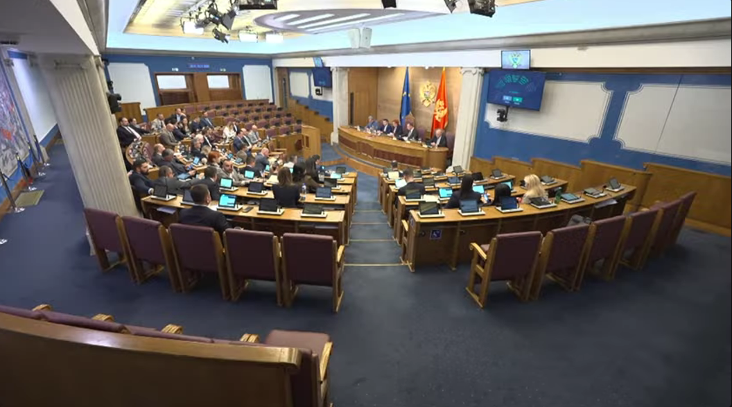 Sa sjednice Skupštine (Foto: Skupština Crne Gore/Youtube)
