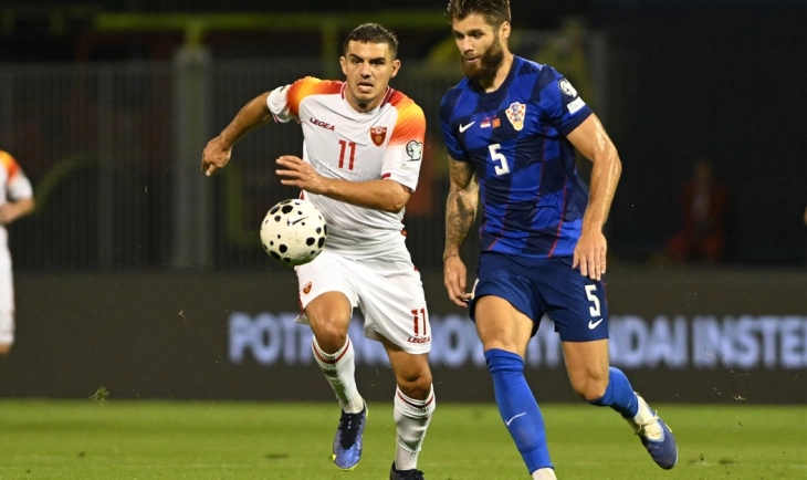 Nikola Krstović (Foto: FSCG)