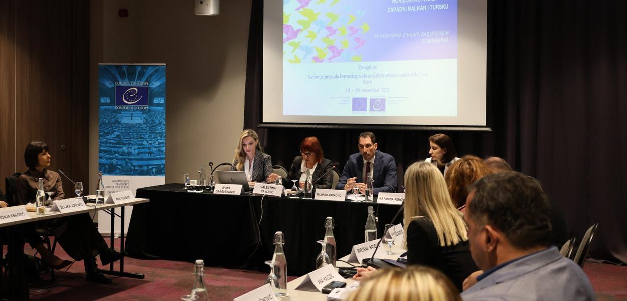 Sa okruglog stola (Foto: VDT)