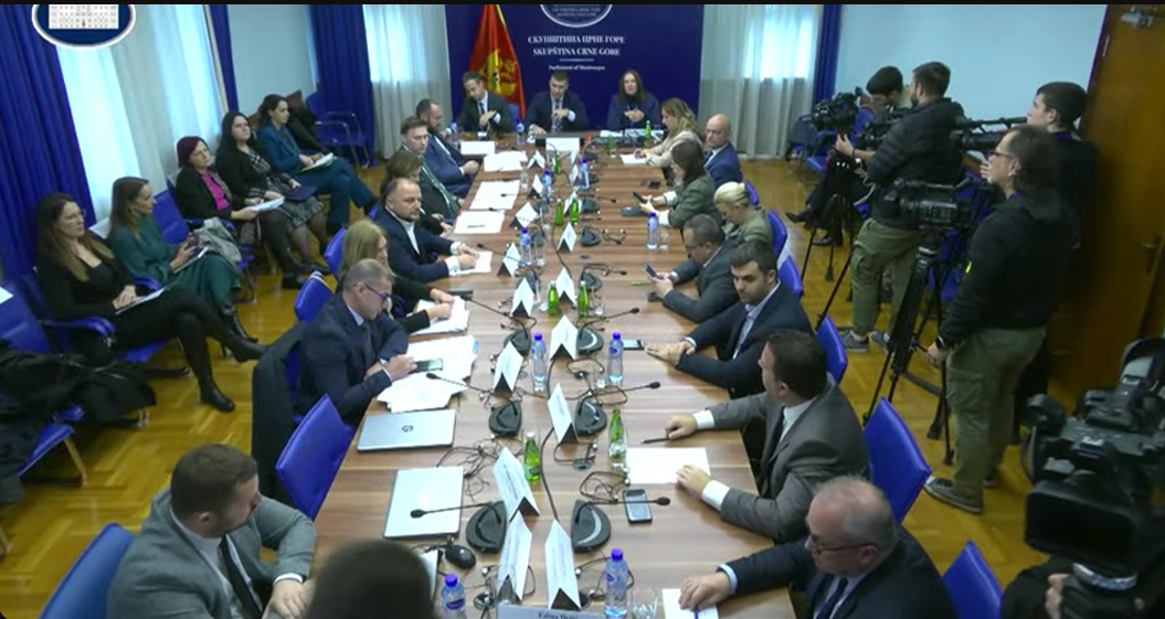 Sa sjednice Odbora (Foto: Skupština Crne Gore/Youtube)
