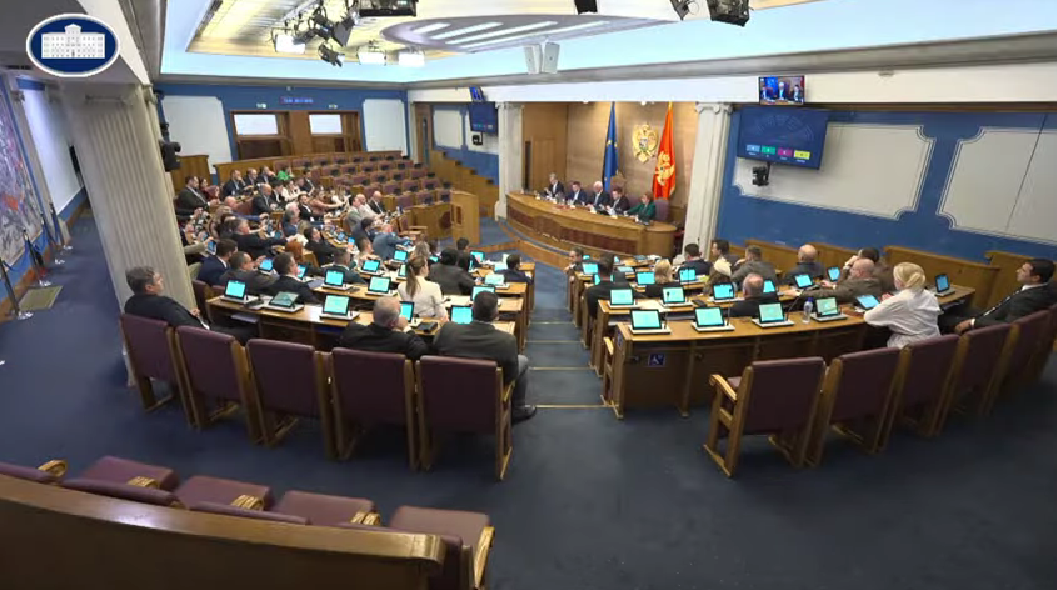 Sa sjednice Skupštine (Foto: Skupština Crne Gore/Youtube)